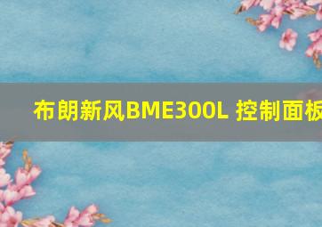 布朗新风BME300L 控制面板